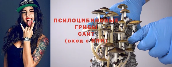 молекула духа Протвино