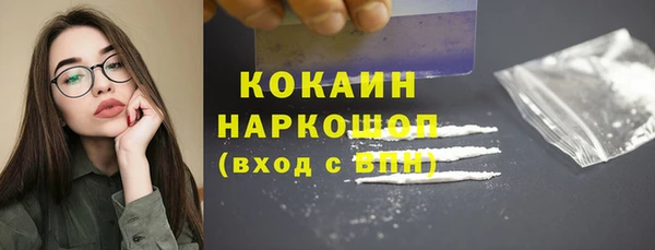 молекула духа Протвино