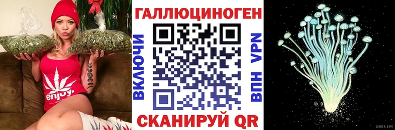 что такое   Инта  Псилоцибиновые грибы GOLDEN TEACHER 